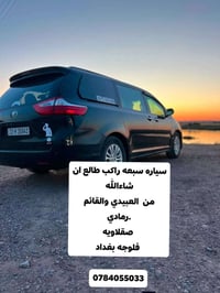 سبعه راكب • رمادي • العبيدي