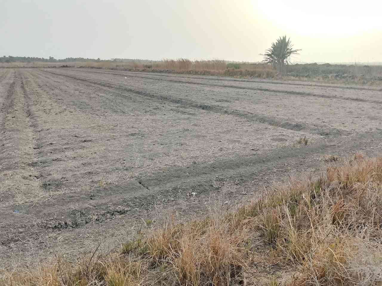 سلام عليكم 🚩
عرض جديد ✨🚩
قطعه ارض طابو زراعي سند 25✨🚩
المساحه 10دوانم تباع كلها اونص منها✨🚩
ماء سقي متوفر صيف شته ارض حلوه وزراعيه✨🚩
تبعد عن التبليط وعن الخدمات 450متر✨🚩
العنوان طريق السده محاويل منطقه الناصريه ✨🚩
السعر وباقي تفاصيل خاص او اتصل
‏‪***********‬‏
