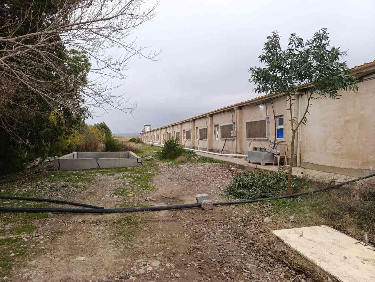 #حقل دواجن جاهزة للبيع موقع ممتاز 💒💒💒

#المساحة،،(  دونمين )
عرض دواجن ١١ متر 
النزال ٦٥ متر يلزم عشرة الف دجاج
يتكون من بيت جاهز مع بيت لحرس مع مولدة   مع تانكي ماي
محولة كهرباء مع بير ماء 
دواجن جاهز لشغل بدون نقص حاليا بيها وجبة دجاج 🌷🌷

#العنوان،، كركوك،، ناحيةليلان،، طريق خالوبازياني 
المكتب بخدمة زبائنه الكرام 🎄🎄
اللاستفسار اتصال ع ارقام مكتب جمال للعقار والمقاولات
 
 ***********📞واتساب 

#ملاحضة
يمكنكم إرسال الاراضي والأملاك للأعلان عنه في صفحتنا بدون مقابل 
عنوان كامل للمُلك 📌
كم صورة من المُلك🏡
سعر المُلك💰
