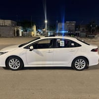 كورلا هايبرد • ٢٠٢٥ • بصرة