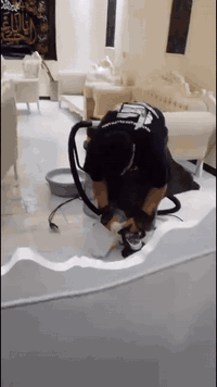 محطة الراية الأوتوماتيكية كربلاء ***********
