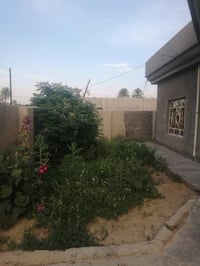 اللهم صل على محمد وآل محمد  دار زراعي للبيع  290 متر غرفه وصاله ومضيف ...