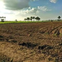 الشيخ عامر التاجي • ٨ دونم • طابو زراعي سند ٢٥