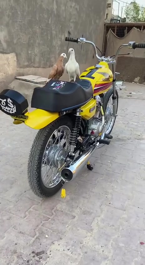 سلام عليكم شباب دراجه للبيع بيه مكينه نامه ثنين وعشرين لاصليه دراجه بدون اوراق سعر 800


**إذا كنت صاحب هذا الإعلان وتريد حذفه لأي سبب، رجاءا أرسل رسالة إلى الدعم الفني**
