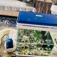 حوض سمك زينة • جهاز أوكسجين • الرمادي