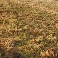 ٨ دونم • قرب البوغلام • ماء وكهرباء