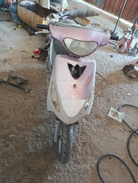 ماكس منغولي • ما مفتوحه • تشك لكاع