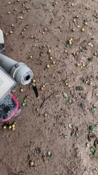 درجة نامة برو 2025 صار شهر من نازلة رقم 07718783712