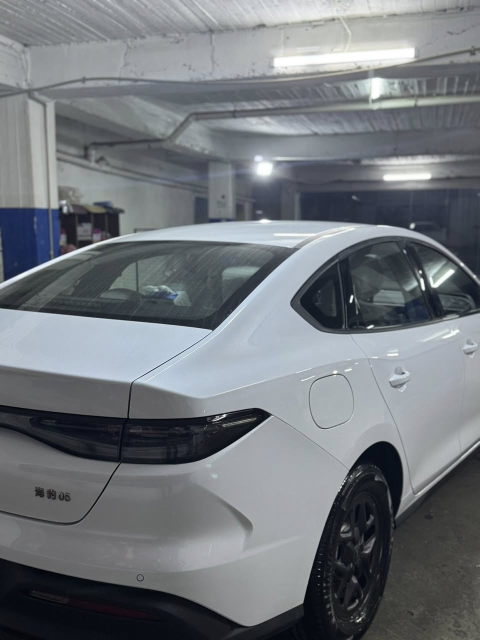 سلاو هاوريان
BYD sel 05
بو فروشتنه ليدراو شوخ و بوياخ ى نيه بوياخ ته نكه  به س ره قه م كراوه   
له گه ل ريزم له به ر هه نيك منال نه زان سعرم نه نوسيه يان نامه بنيرن يان تيل كه ن 🫶🏻
*********** vibr whatsapp
