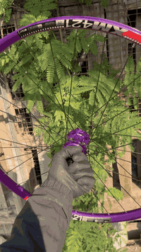 ***********,,,29,,26🩷💜🖤
