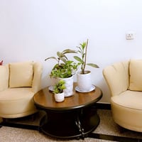 طقم تركي • ١٠ مقاعد • خشب زان