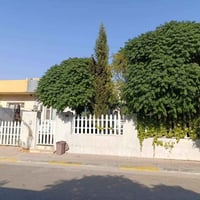 نالي سيتي • ٢٥٠م • غرفتين