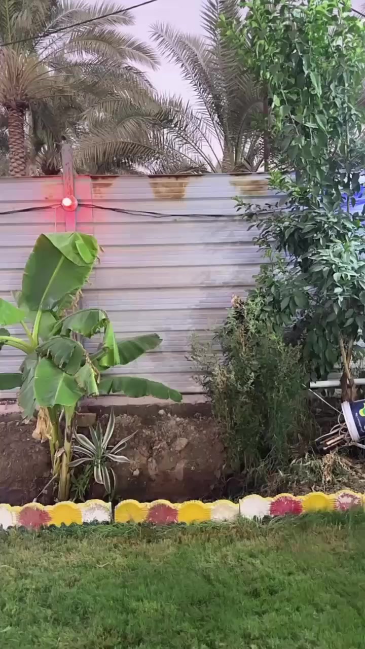 دار مع مزرعة للبيع ملك صرف 1800 مترموثثة ومتكاملة من كل شي العنوان التاجي الشيخ حمد قرب مستوصف الشيخ حمد تبعد عن الشارع العام 400 متر الاتصال ع الرقم ‏‪***********‬‏         ***********    بي وانساب
