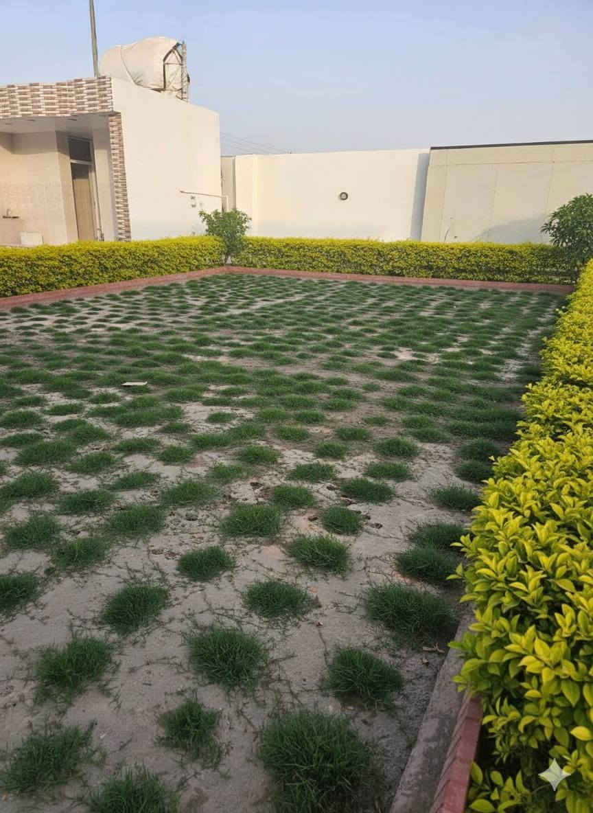 🔸 ترتيب وتنظيم الحدائق ☘️
🔸 زراعة شتلات وأشجار زينة🌹
🔸 تقليم وتعديل الأشجار      ☘️
🔸 تنسيق جمالي حسب ذوقك🌹
 
التفاصيل اكثر الاتصال ع الرقم
***********
او مراسلة الصفحة
