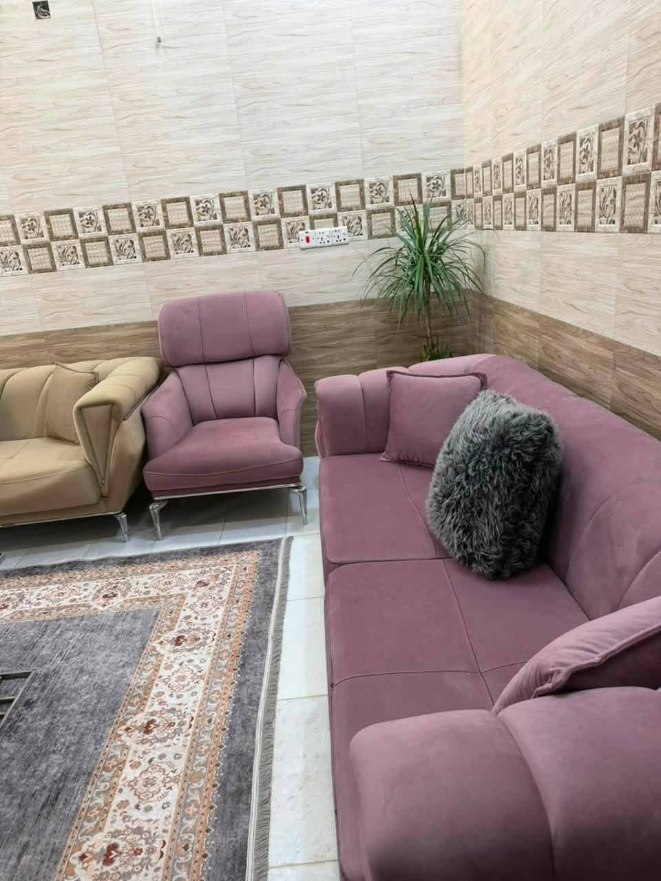 تخم تركي اصلي شغل درجه اولى قنفتين كبار و ٤  كراسي جديد اكرر شغل درجه اولى مو سوكي سعره ١٦٥٠ مكاني كربلاء 
***********
