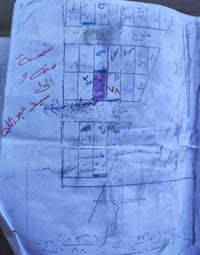 طابو زراعي • ٢٠٠م • الواسطي شارع ٦