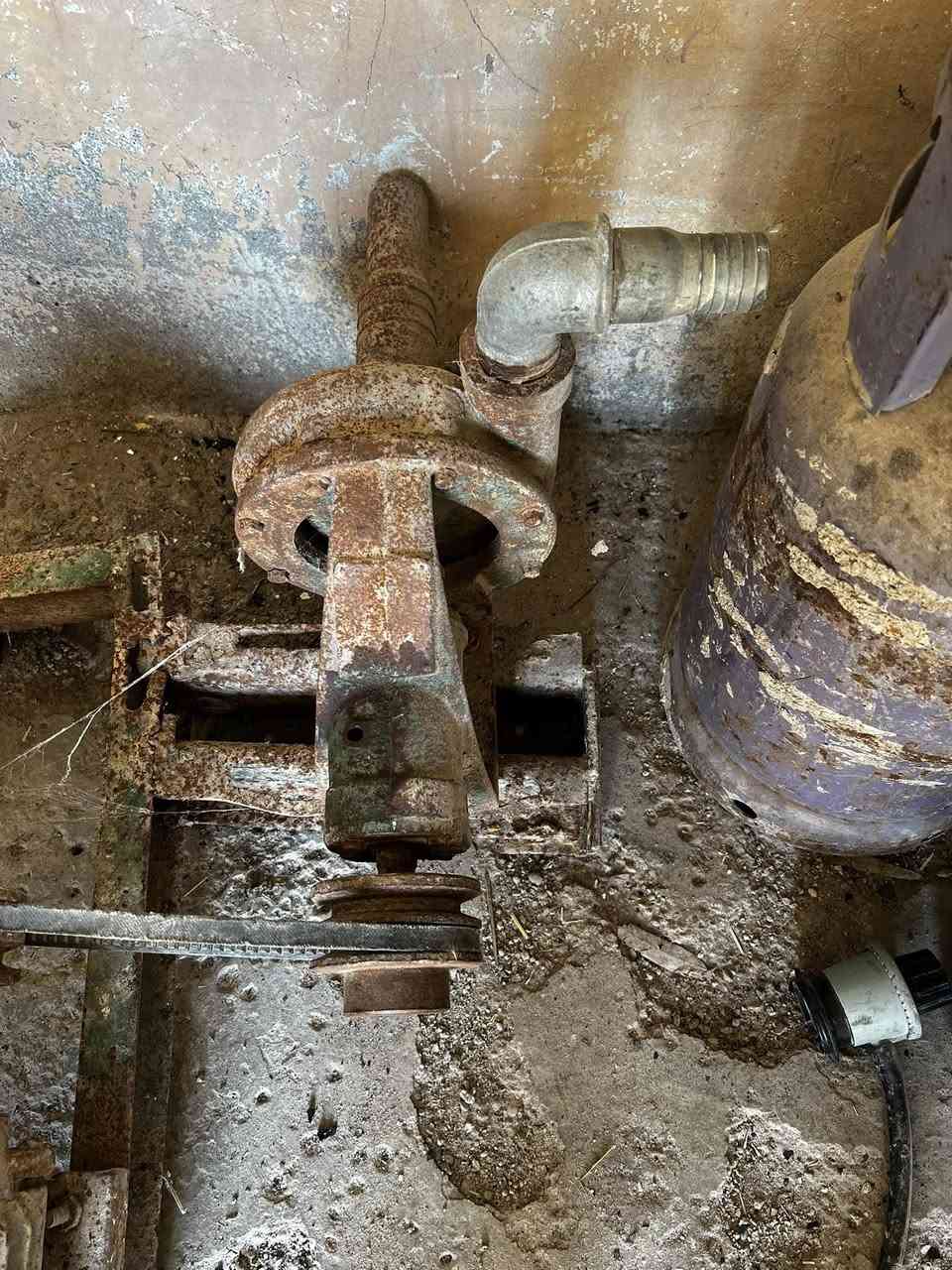 ‏سلام عليكم للبيع خنزيرة ماء السعر 140 وبيها مجال علوان ديالى بعقوبة ***********
