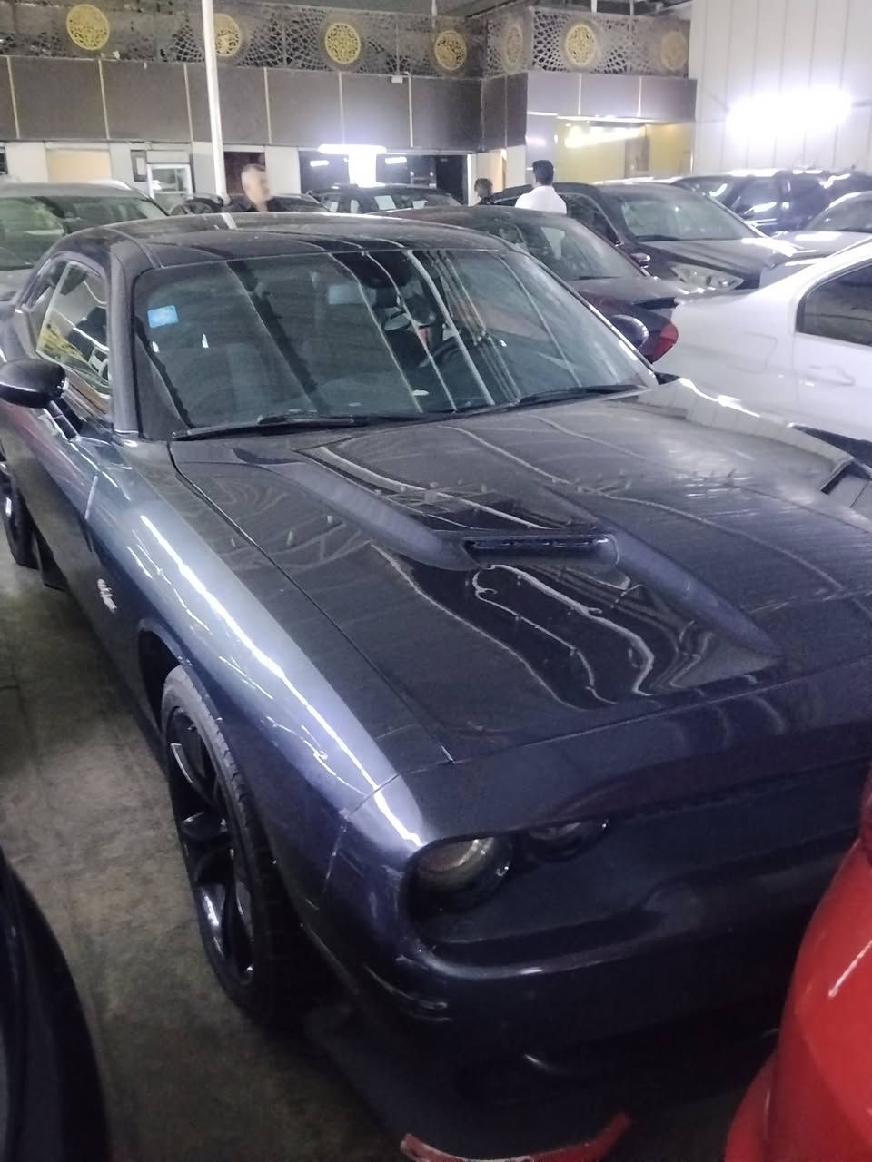 اقسـاط اقسـاط سكنـت بغداد فقط 
يوجد بيوايدي سيل 5
بيوايدي دستروير وجميع السيارات 
مديل 2025 
مرقم كامل
                    مقـــدمه 60$ورقه وفوك  بالشهر 500 الف 
استلام فوري
ضمان مستمسكاتك فقط
تشمل جميع لمواطنين كاسب اي شخص عادي لمهم من بغداد
جماعت 50ورقه لتعبني مترهم


**إذا كنت صاحب هذا الإعلان وتريد حذفه لأي سبب، رجاءا أرسل رسالة إلى الدعم الفني**