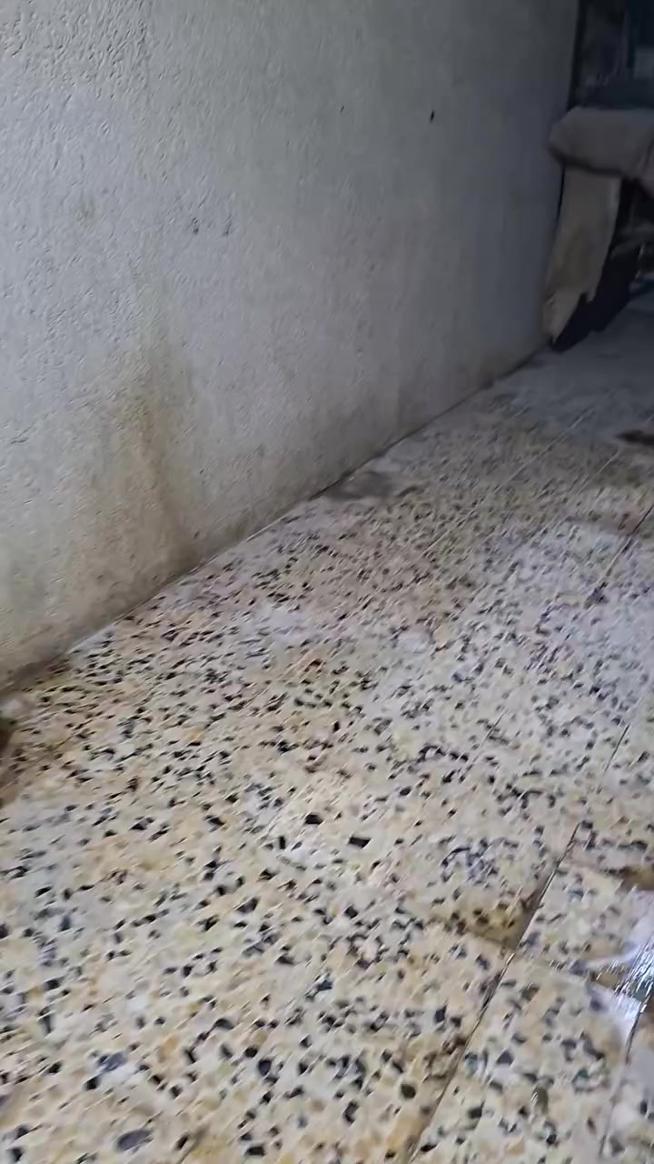 شقه للايجار طابق اول في دور الصحة الاتصال بنا ***********
