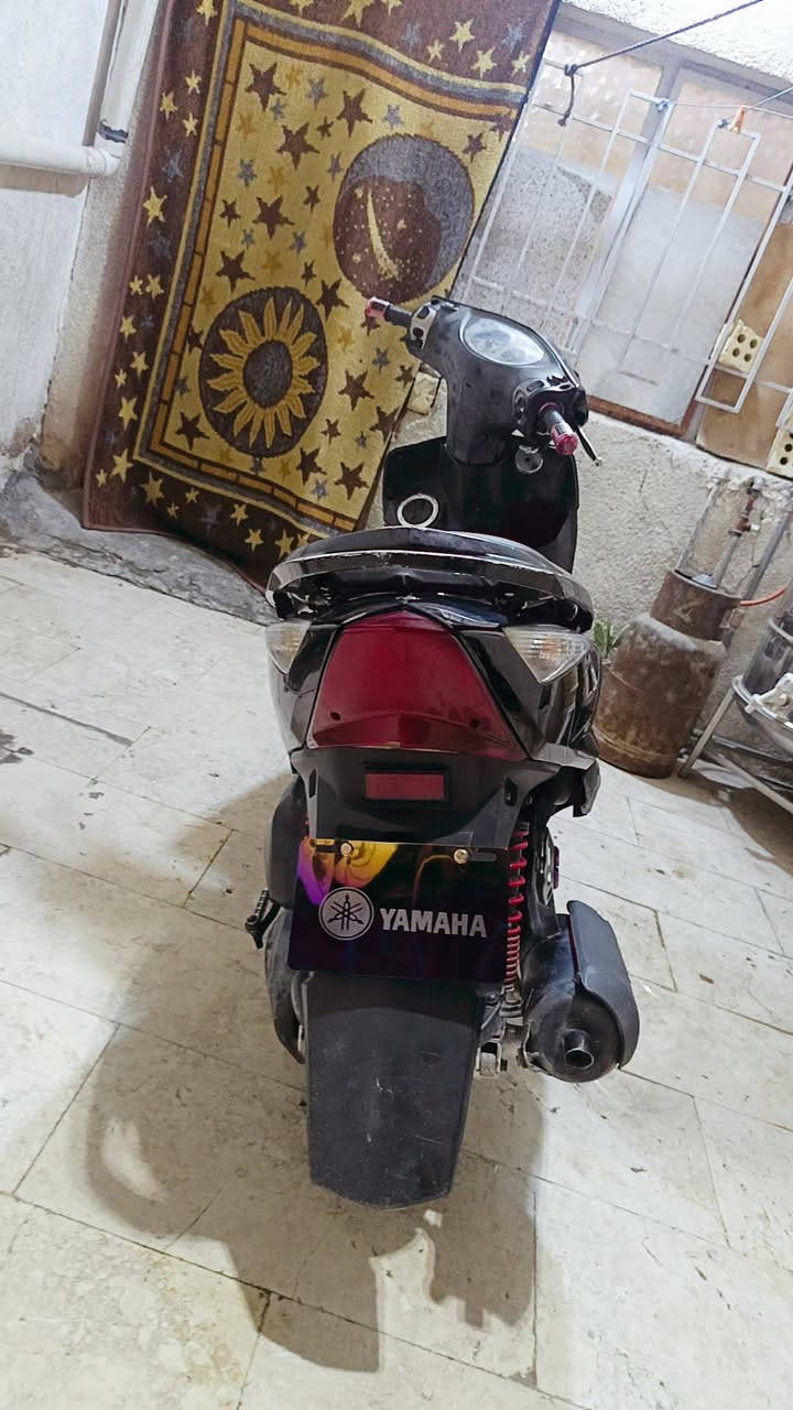 سلام عليكم ثعلب للبيع فقط كفر تجاري  دراجه  جديده تخبل سعر ٥٠٠ وبيه مجال ***********
