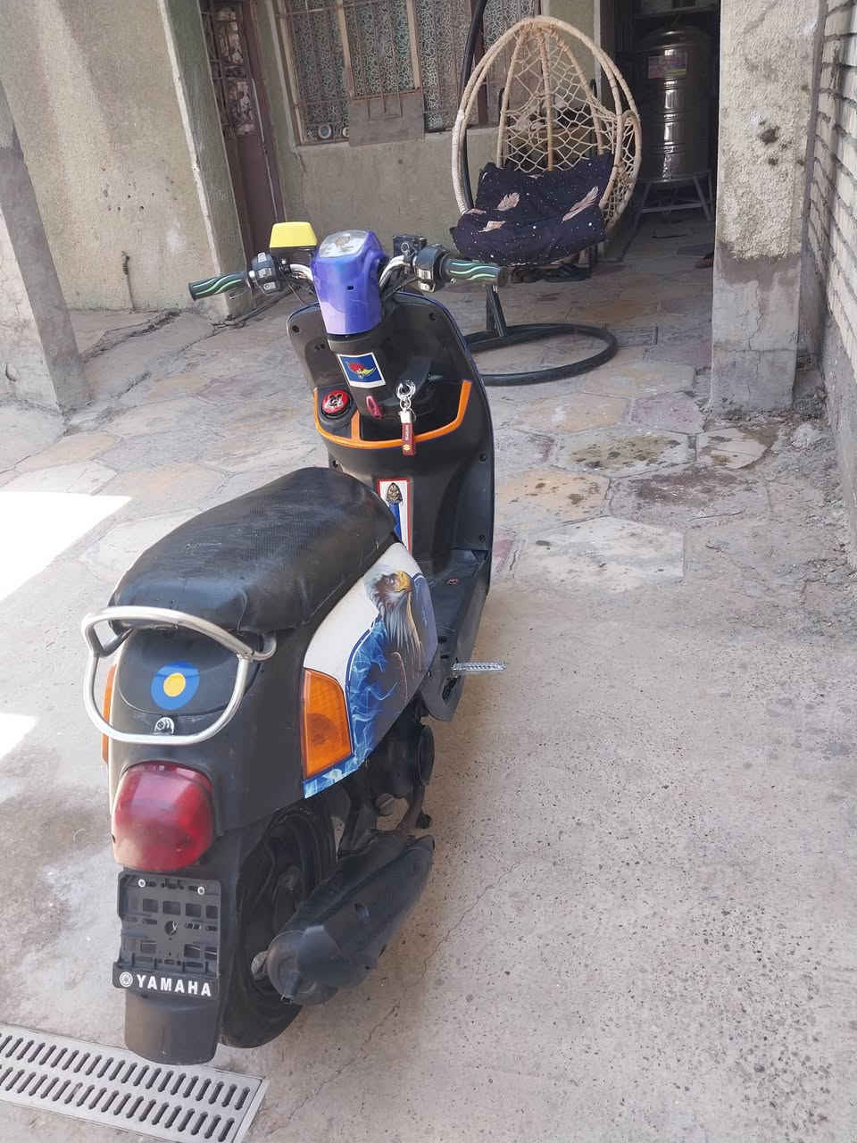 مراوس


**إذا كنت صاحب هذا الإعلان وتريد حذفه لأي سبب، رجاءا أرسل رسالة إلى الدعم الفني**