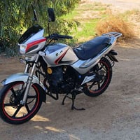 موديل ١٧ • مرقم سنوية • الرمادي