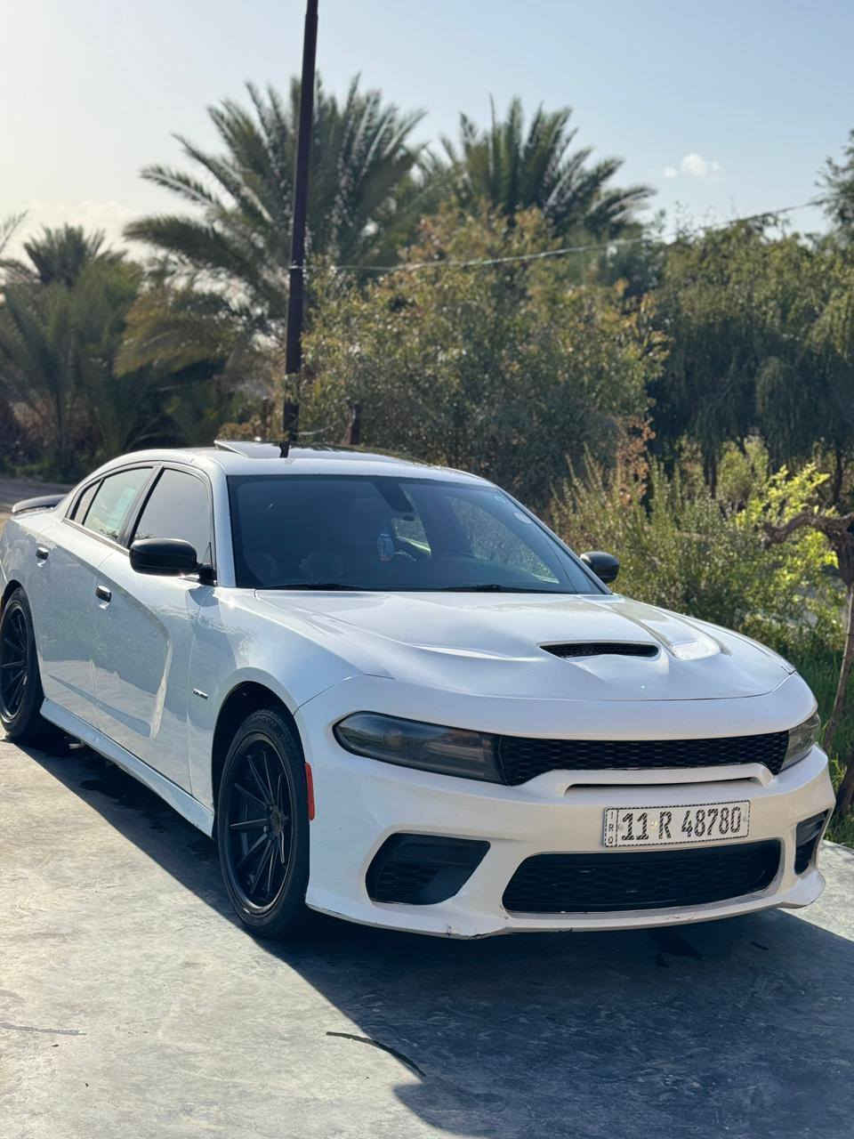 السلام عليكم
للبيع دودج جارجر RT موديل 2016 رقم بغداد بأسمي شخصياً خليجي (وكالة)، لون أبيض صدفي مميز، محرك 8 سلندر 5.7L HEMI،  كفالة شرط الفحص
 كراسي جلد، شاشة كبيرة، فتحة سقف، بصمة، وكاميرا. السيارة نظيفة جداً، جاهزة للاستخدام، ومواصفات الماكس الكاملة . 
 
النوع: دودج جارجر RT (8 سلندر Hemi)
الموديل: 2016
المواصفات: خليجي (وكالة)
اللون: أبيض صدفي (White Pearl)

المواصفات (ماكس/Full Option):
بصمة تشغيل وفتح أبواب
فتحة سقف
داخلية جلد فاخر (لون [احمر 
شاشة كبيرة مع نظام خرائط وكمرة خلفية
حساسات خلفية
تحكم ستيرن (مقود)
تبريد وتدفئة مقاعد
رادار وتحديد مسار
الحالة: كفاله عامة  السيارة جاهزة ولا تحتاج مصاريف.
مكان التواجد: [بابل الحلة قظاء المحاويل 
السعر: [183] (وبيه مجال للشراي)
للاتصال: ***********
