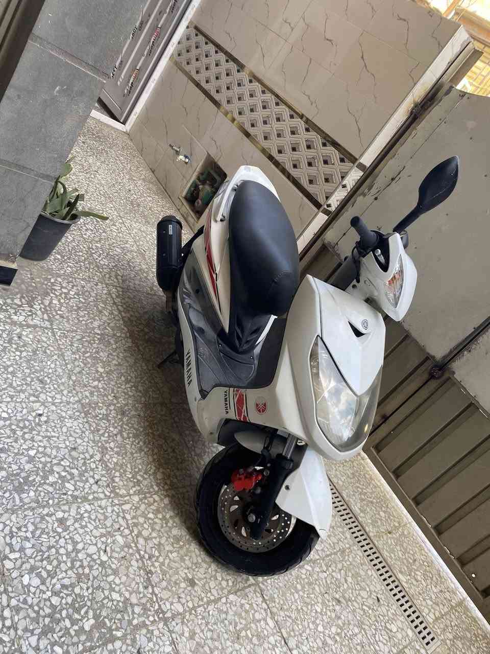 سلام عليكم
سكنس فحل ياباني قبق نفخ ستان كهرباء دراجه كلش جديدة مال جناي دهن درجه اولى مكاني بغداد شراي اتصل ع الرقم ***********
