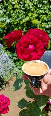 اسبریسو • ميديون • مستخدم