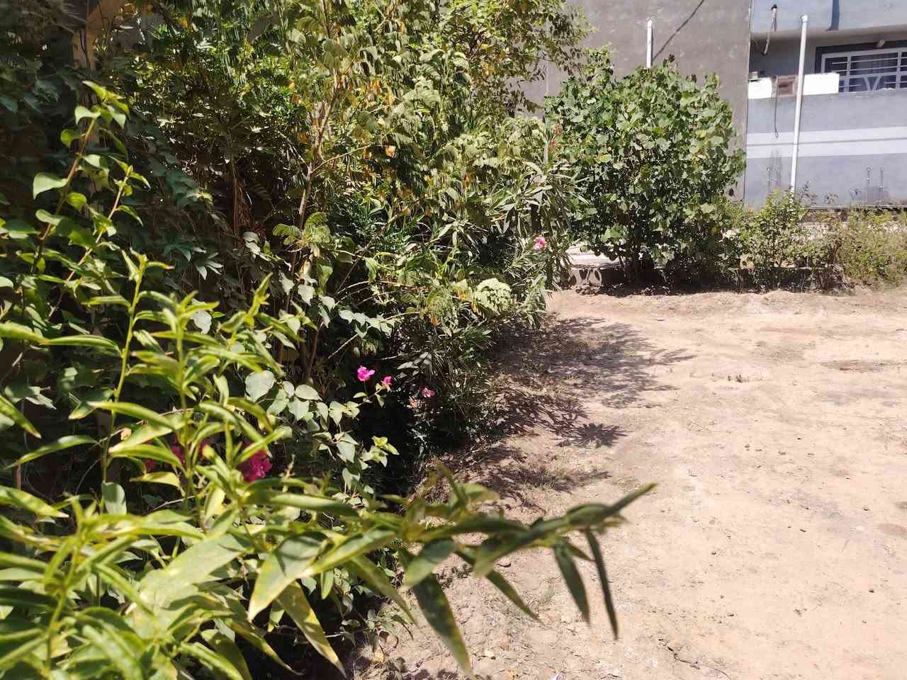 دار للبيع المساحه ٢٠٠ متر +قطعه مشجره ضمن البيت ٢٠٠متر المساحه الكليه ٤٠٠متر بناء حديث بناء ٢٠٢٤ الموقع شارع المشجر ورديه خارج للاستفسار ***********
