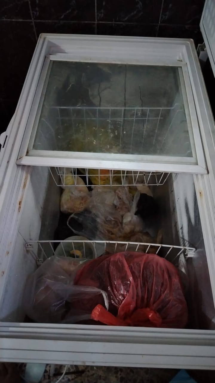 مجمده حجم كبير كلش نظيف ماداخله تصليح مكاني دوانيه جهوري جاوب خاص او تصال على رقم الهاتف واتساب ***********
