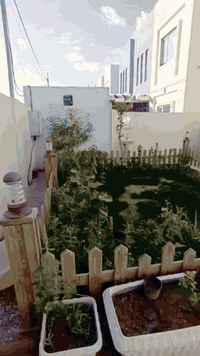 دار للبيع • ٢٠٠م • المثنى السماوة