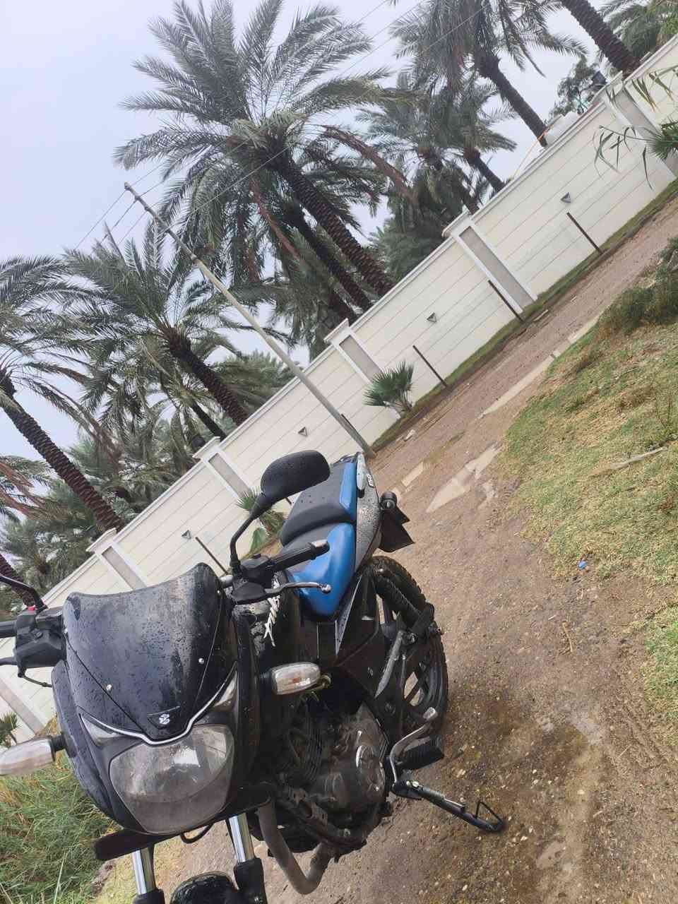 سلام عليكم دراجه بولسر رقم
بغداد ثاني يوم تحويل دراجه بيه خيط تبخير 

وعوزه ترتيبات بصيطه شراي يخابر ***********

ويراسل متواجد علمازنجر موديل 21
سعر واحد و400
