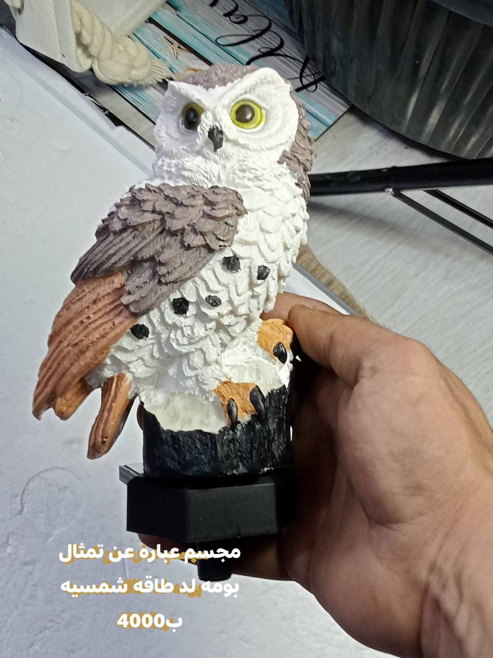 الأسعار داخل الصور


**إذا كنت صاحب هذا الإعلان وتريد حذفه لأي سبب، رجاءا أرسل رسالة إلى الدعم الفني**