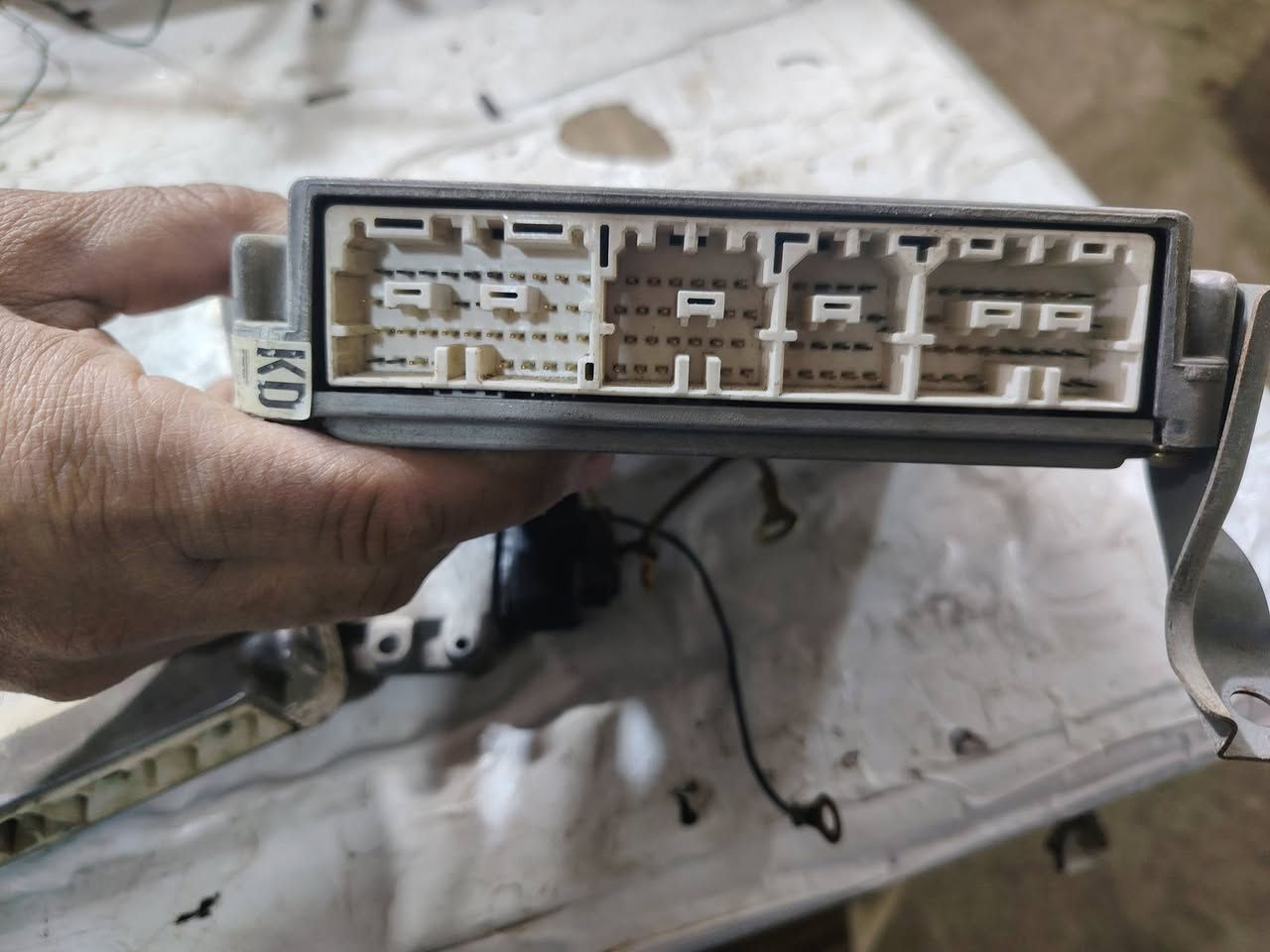 السلام عليكم........
اخوان موجود عندي
عقل افلون ٢٠٠١ _  ٢٠٠٤  عدد ٢   شغالات ع الفحص 
قاعدة فيوزات و الايرباك
واكو وياهم جكمجه على كم باغه دواخل
مكاني ديوانية
***********
