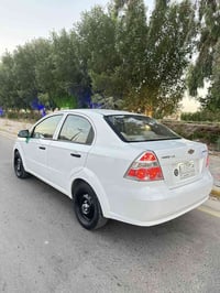 آفيو • ٢٠١٣ • كربلاء طوريج
