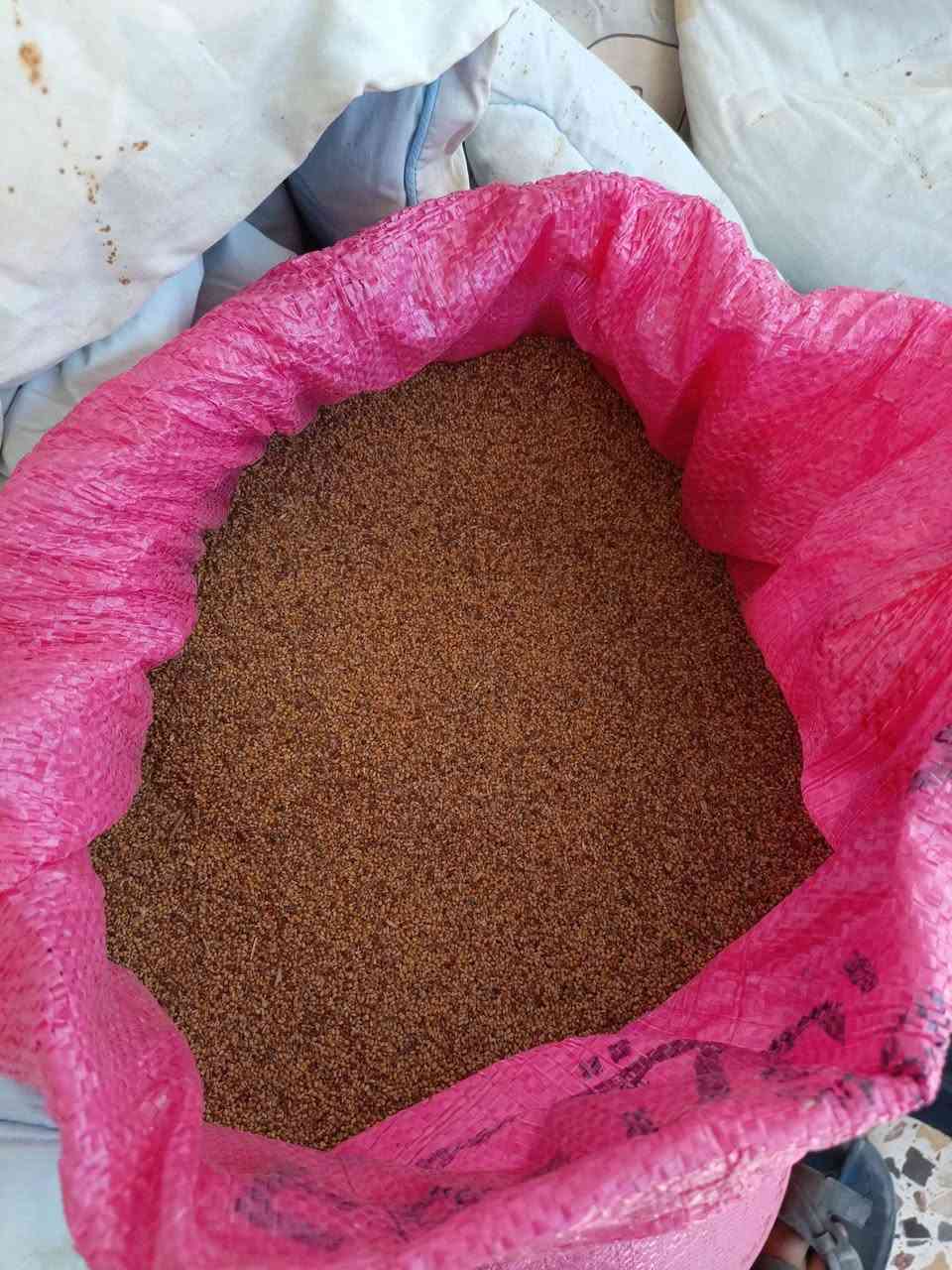 سلام عليكم برسيم للبيع الكمية طن ونص نضيفات ومغربلات المكان واسط العزيزية رقم الهاتف ***********
