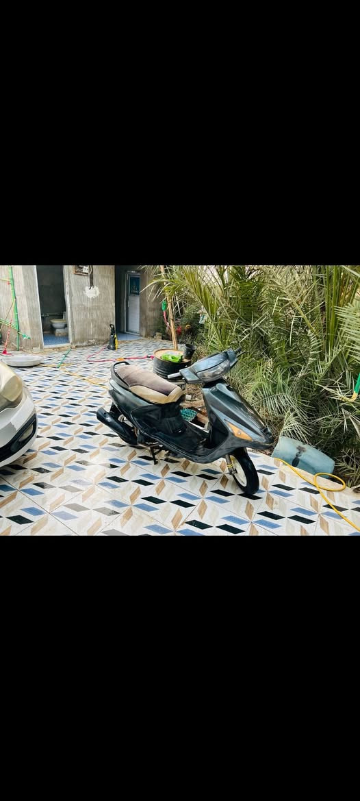 دراجه فراشه 140 مكينه ما مفتوحه كلشي ما عوزها تفاصيل اكثر خاص
ديوانيه قضاء المهناويه


**إذا كنت صاحب هذا الإعلان وتريد حذفه لأي سبب، رجاءا أرسل رسالة إلى الدعم الفني**