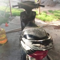 سكنس ثعلب • شغالة • كهربائيات