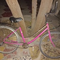 باسكل • ٢٠١٣ • أبو شير