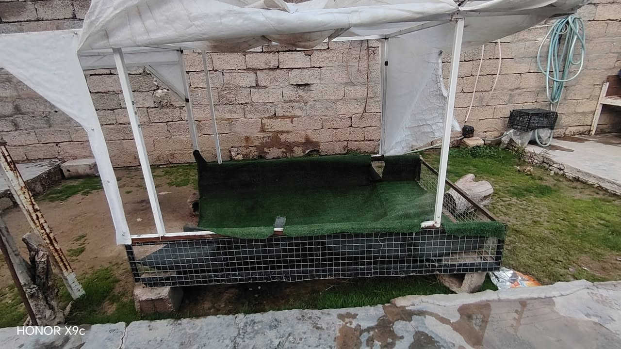 ️ السَّلَاْمُ‌ ‌عَلَیْکُم‌  ئەم کەپری کەریم کابانە بۆ فروشتن بۆ بەقالیە دوو بەشە وەک لەوینەکە دیارە ئەو بەشەی خوارەوە لەجیگای دەرگای ماتورەکە دەی بەستی  دەبیت دەرگاکان بکەینەوە هەتا بڵی کەپریکی ڕیکو پێکە هەڕ کەسیک موشتەریە نامە بنیرین سعری گونجاوە


**إذا كنت صاحب هذا الإعلان وتريد حذفه لأي سبب، رجاءا أرسل رسالة إلى الدعم الفني**