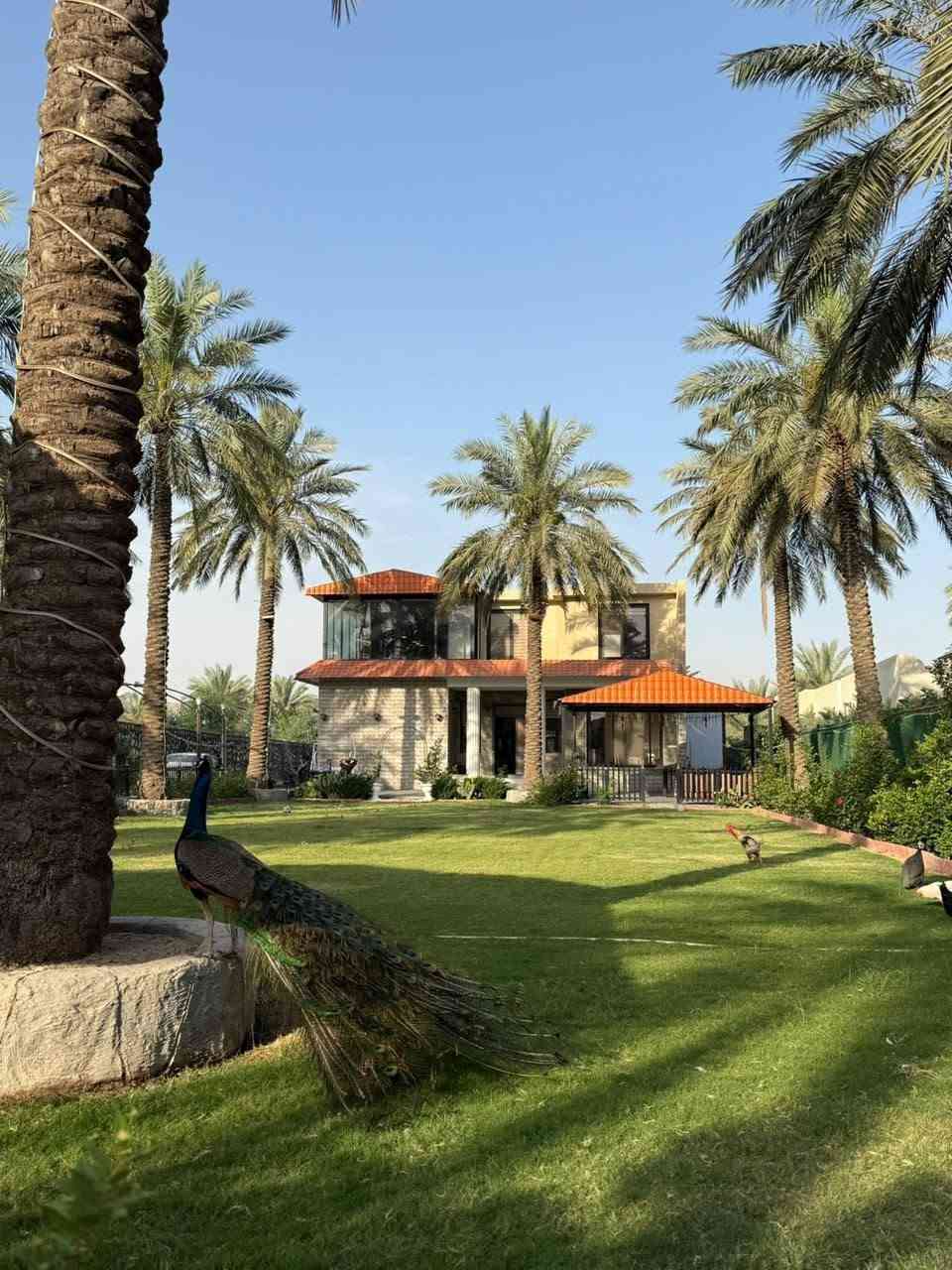 اهلا وسهلا بيكم في مزرعة دجلة للأيجار اليومي 🏊‍♂️🌿

نستقبل كافة الحجوزات والمناسبات 🎉

المكان: بغداد، الكاظمية، الطي، 📍

للحجز والاستفسار: واتساب *********** 📞
