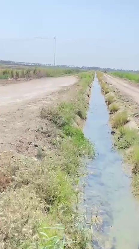 سلام عليكم
ارض زراعيه للإيجار المكان اليوسفيه ***********
