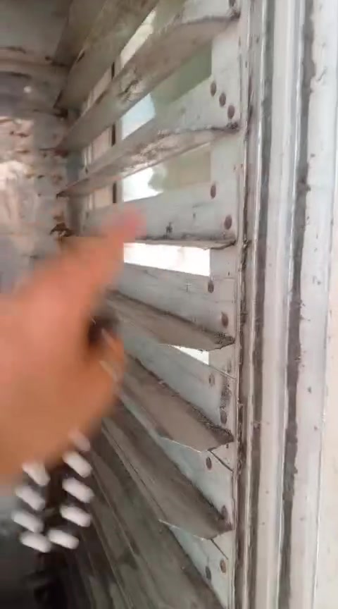 السلام عليكم خمارة صمون وچرك لبيع العنوان بغداد مدينة الصدر الرقم ***********
