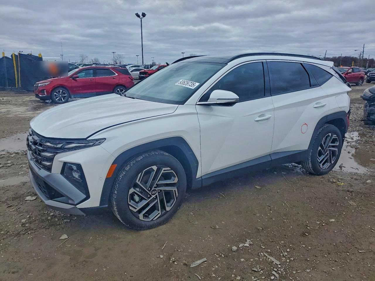 📢 إعلان مزاد سيارة - هونداي توسان 2025 🚗

• (تدخل كتاب ذوي شهداء)

تفاصيل السيارة والمزاد
• حادث: (كما هو موضح بالصور)

• تاريخ المزاد: الجمعة 2026/5/15

• السعر: حسب المزاد

⏰ مواعيد المزاد والدوام
• أيام الدوام: من الاثنين الى الجمعة

• وقت المزاد: من الساعة 4:00 عصراً وحتى 12:00 ليلاً

للتواصل والاستفسار
.***********

.***********

📍العنوان : فلوجة - شارع 60 - مقابيل مندي المراسيم 

#سيارات #مزاد_امريكا #الفلوجة #الأنبار #سيارات_وارد_امريكي #وارد_امريكي #شركة_شعيب_وهيثم_الراوي #تجارة_السيارات #فلوجة_شارع_60 #العراق #فلوجة #شركة_شعيب_وهيثم_الراوي_الأستيراد_السيارات_الأمريكي
