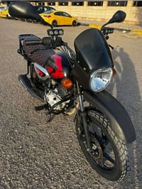 بوكسر جبلي • باسمي • ٢٠٢٢