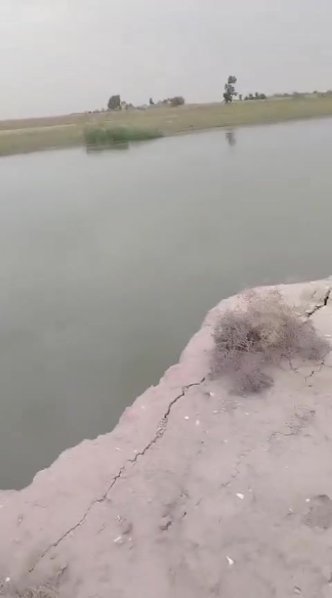 1000 دونم طابو سند 25 شاطيه على شط الفرات موجو ببهن 500 نخله مي السقي كامل موجود...  بالديوانيه  ناحية البساميه.قضاء الحمزه عادي ينباع منها (100/ 200 /300)
سعر الدونم (3) 
للاستفسار اكثر خاص ..


**إذا كنت صاحب هذا الإعلان وتريد حذفه لأي سبب، رجاءا أرسل رسالة إلى الدعم الفني**