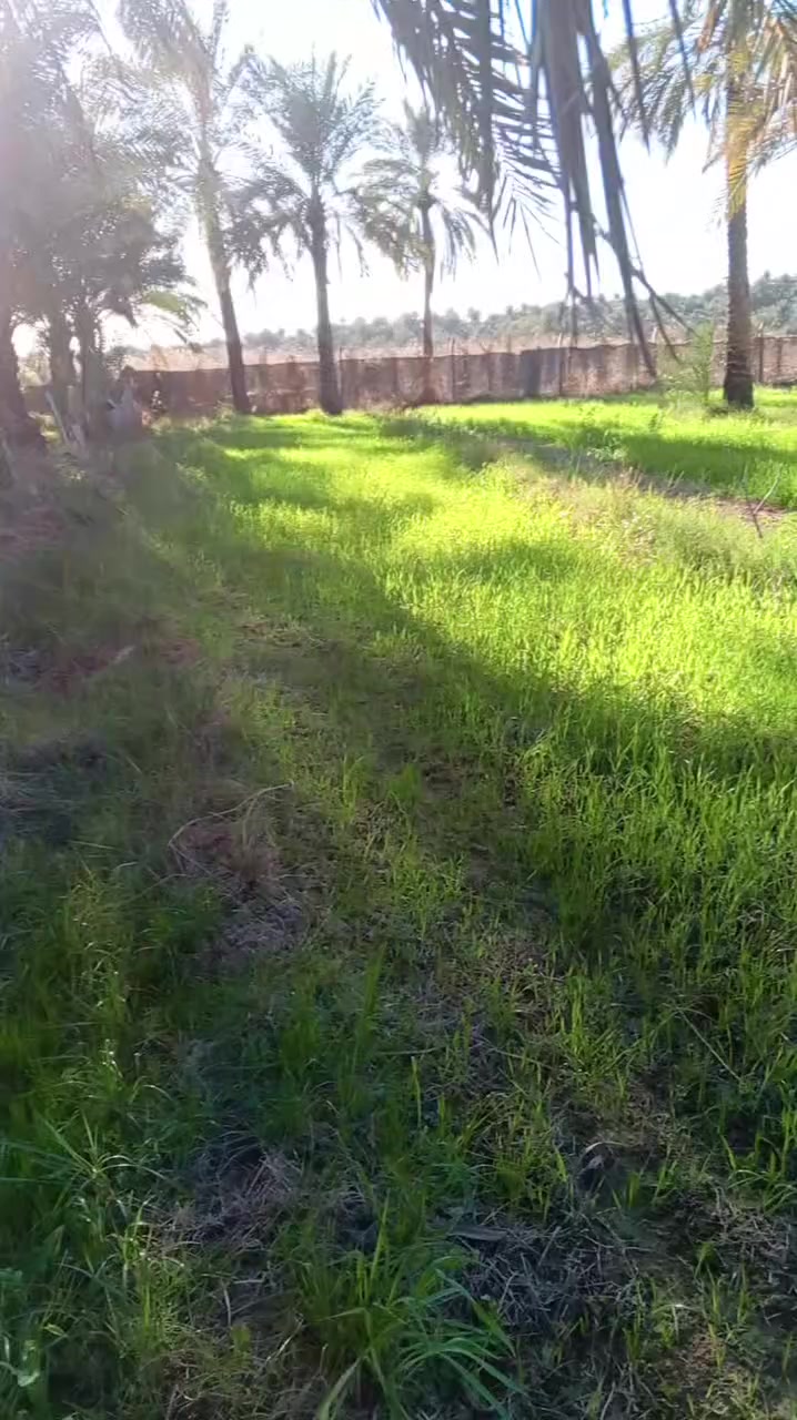 دونم و200 متر للبيع سند 25 حله سياحي دولاب السعر خاص ***********
