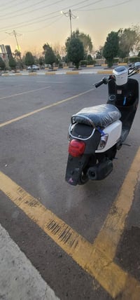 ماكس بوليس • جديدة • فلكة الامين