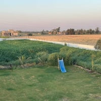 ارض للبيع • ارض زراعية • دونم • اراضي اليوسفية • القصر اوسط • الحركاوي...